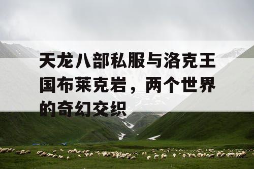 天龙八部私服与洛克王国布莱克岩，两个世界的奇幻交织