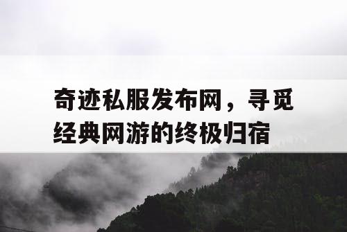 奇迹私服发布网，寻觅经典网游的终极归宿
