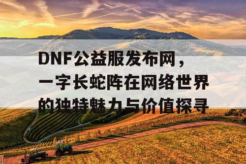 DNF公益服发布网，一字长蛇阵在网络世界的独特魅力与价值探寻