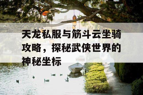 天龙私服与筋斗云坐骑攻略，探秘武侠世界的神秘坐标