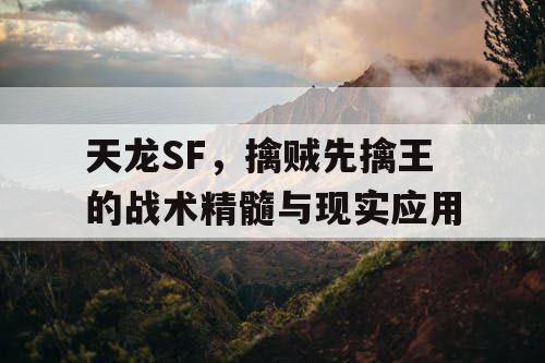 天龙SF，擒贼先擒王的战术精髓与现实应用
