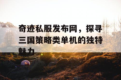 奇迹私服发布网，探寻三国策略类单机的独特魅力