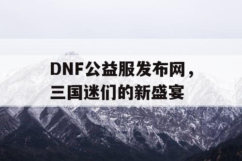 DNF公益服发布网，三国迷们的新盛宴