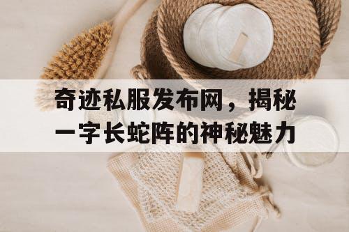 奇迹私服发布网，揭秘一字长蛇阵的神秘魅力