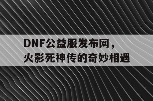 DNF公益服发布网，火影死神传的奇妙相遇