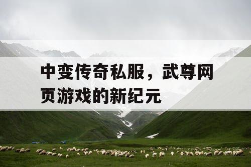 中变传奇私服，武尊网页游戏的新纪元