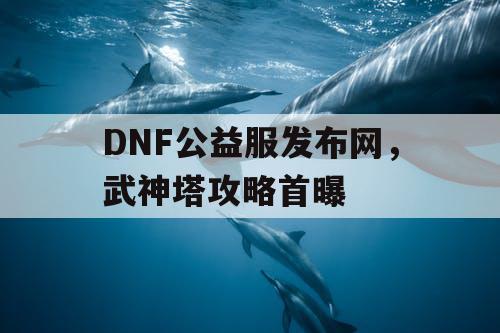 DNF公益服发布网，武神塔攻略首曝