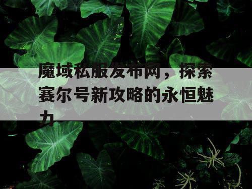 魔域私服发布网，探索赛尔号新攻略的永恒魅力