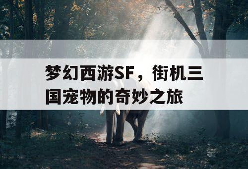 梦幻西游SF，街机三国宠物的奇妙之旅