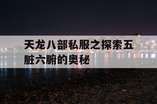 天龙八部私服之探索五脏六腑的奥秘