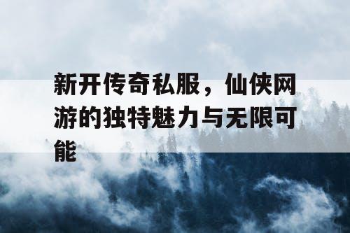 新开传奇私服，仙侠网游的独特魅力与无限可能