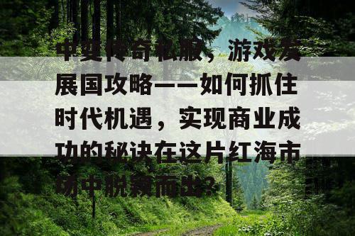 中变传奇私服，游戏发展国攻略——如何抓住时代机遇，实现商业成功的秘诀在这片红海市场中脱颖而出？