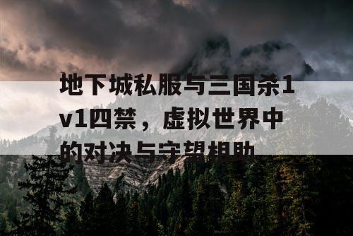 地下城私服与三国杀1v1四禁，虚拟世界中的对决与守望相助