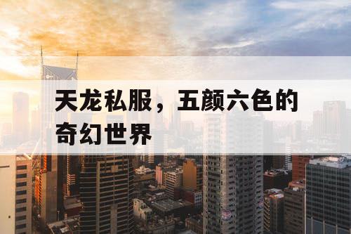 天龙私服，五颜六色的奇幻世界