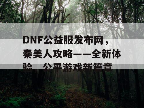 DNF公益服发布网，秦美人攻略——全新体验，公平游戏新篇章