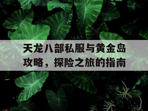 天龙八部私服与黄金岛攻略，探险之旅的指南