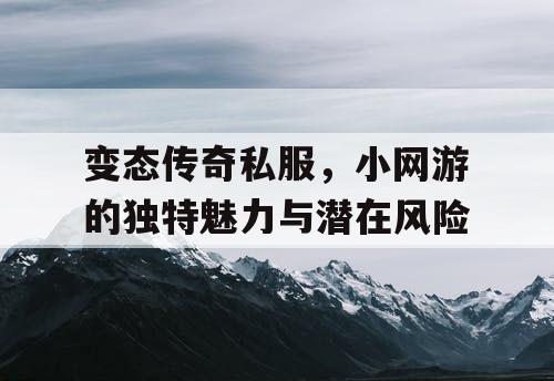 变态传奇私服，小网游的独特魅力与潜在风险