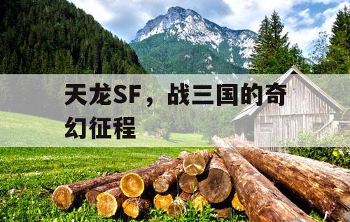 天龙SF，战三国的奇幻征程