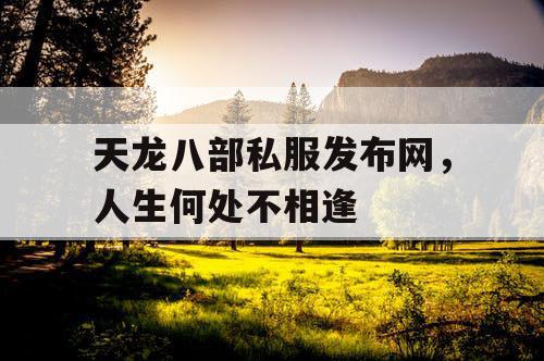 天龙八部私服发布网，人生何处不相逢