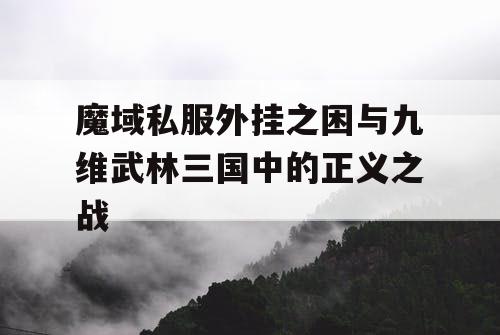 魔域私服外挂之困与九维武林三国中的正义之战