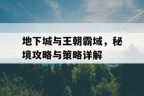 地下城与王朝霸域，秘境攻略与策略详解