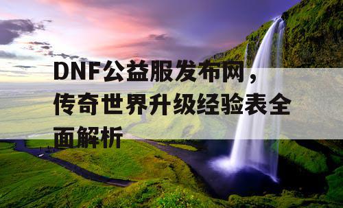 DNF公益服发布网，传奇世界升级经验表全面解析