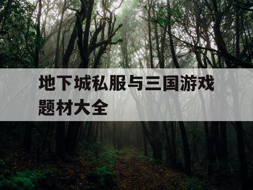 地下城私服与三国游戏题材大全