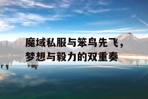 魔域私服与笨鸟先飞，梦想与毅力的双重奏