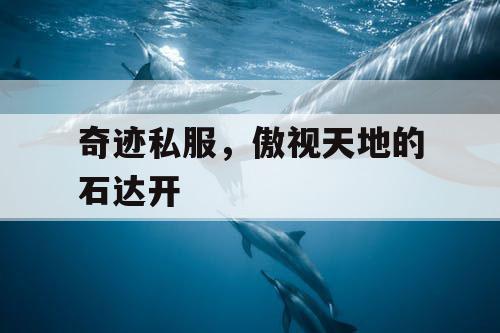 奇迹私服，傲视天地的石达开