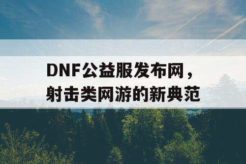 DNF公益服发布网，射击类网游的新典范