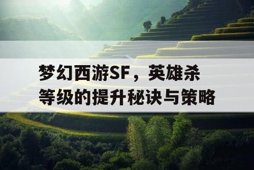 梦幻西游SF,英雄杀等级的提升秘诀与策略 梦幻西游SF,英雄杀等级的提升秘诀与策略
