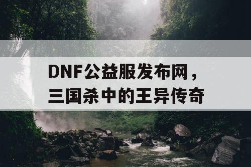 DNF公益服发布网，三国杀中的王异传奇