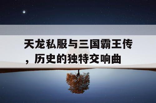 天龙私服与三国霸王传，历史的独特交响曲