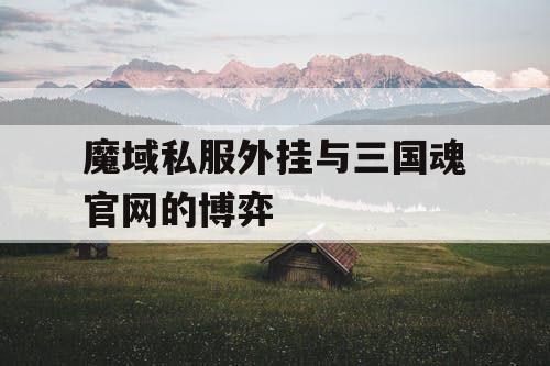 魔域私服外挂与三国魂官网的博弈