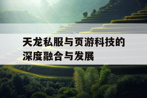 天龙私服与页游科技的深度融合与发展