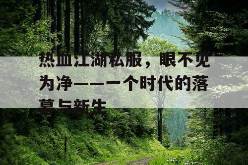 热血江湖私服，眼不见为净——一个时代的落幕与新生