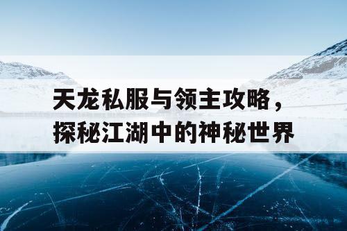 天龙私服与领主攻略，探秘江湖中的神秘世界