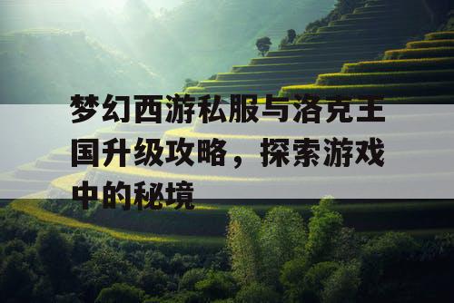 梦幻西游私服与洛克王国升级攻略，探索游戏中的秘境