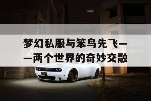 梦幻私服与笨鸟先飞——两个世界的奇妙交融