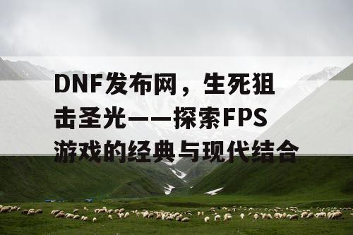 DNF发布网，生死狙击圣光——探索FPS游戏的经典与现代结合