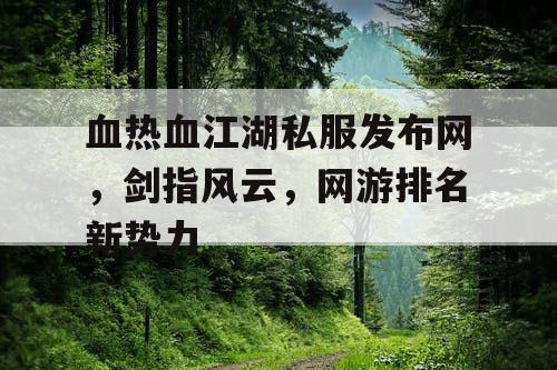 血热血江湖私服发布网，剑指风云，网游排名新势力