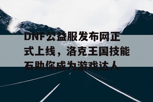 DNF公益服发布网正式上线，洛克王国技能石助你成为游戏达人