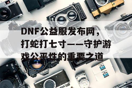 DNF公益服发布网，打蛇打七寸——守护游戏公平性的重要之道