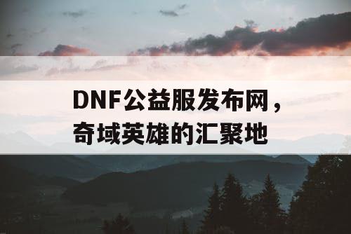 DNF公益服发布网，奇域英雄的汇聚地