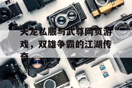 天龙私服与武尊网页游戏，双雄争霸的江湖传奇