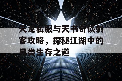 天龙私服与天书奇谈刺客攻略,探秘江湖中的另类生存之道 天龙私服与天书奇谈刺客攻略,探秘江湖中的另类生存之道
