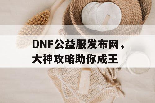 DNF公益服发布网，大神攻略助你成王