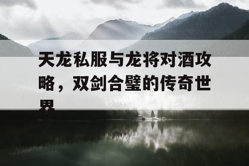 天龙私服与龙将对酒攻略，双剑合璧的传奇世界
