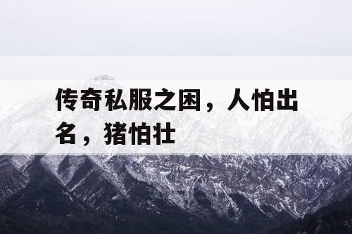 传奇私服之困，人怕出名，猪怕壮