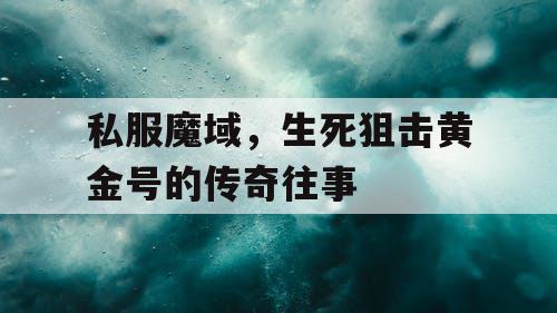 私服魔域，生死狙击黄金号的传奇往事